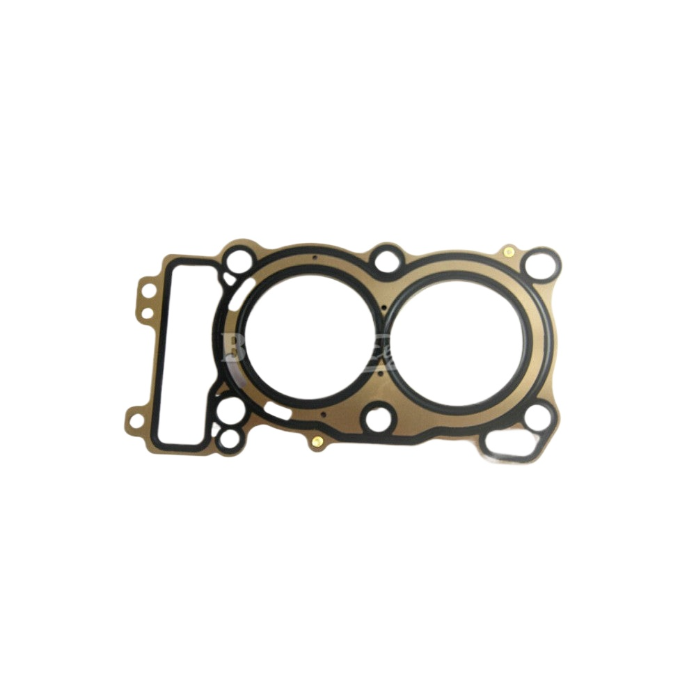 QJMOTOR SRK250 Head Gasket