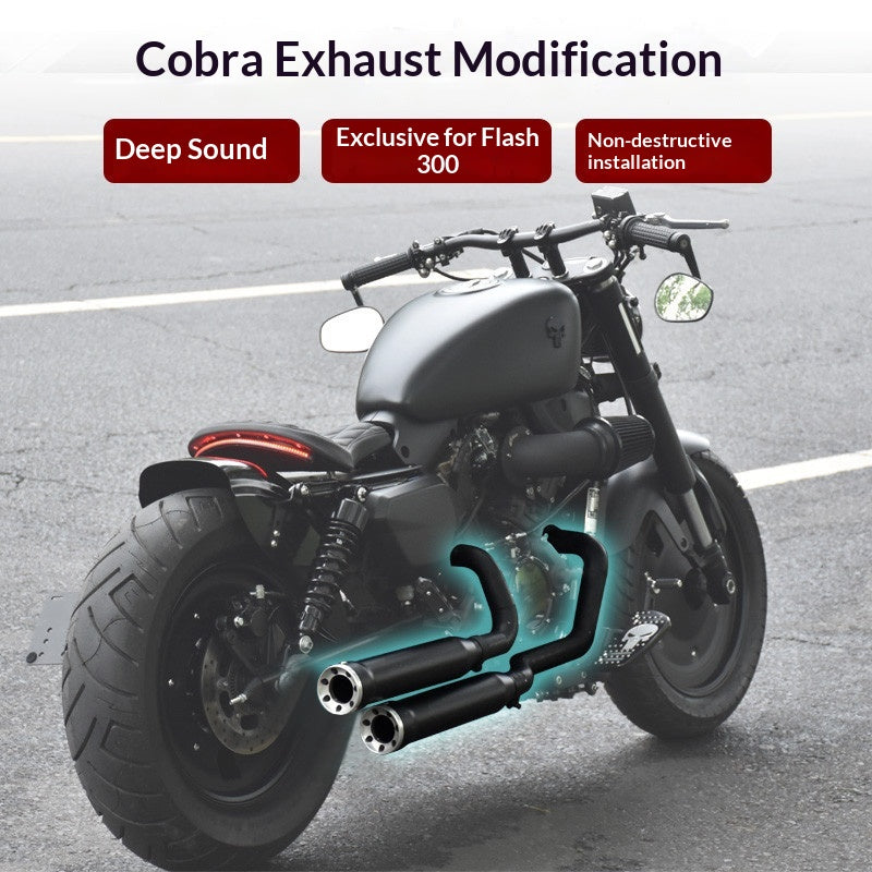King Cobra Exhaust QJmotor SRV250 Modified Double Pipe Motorcycle Exhaust SRV250 AMT Full System