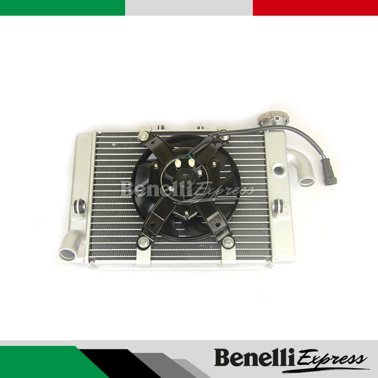 Benelli 302R Radiator Assy Motorcycle Spare Parts