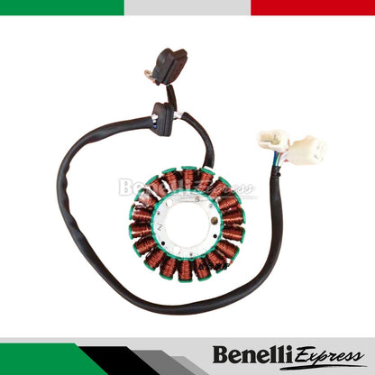 Benelli 150s Spare Parts 1 Oil Filter Chain Pad Footrest Brake Clutch Lever Plug Coil Brake Spring TPS Sensor Fuel