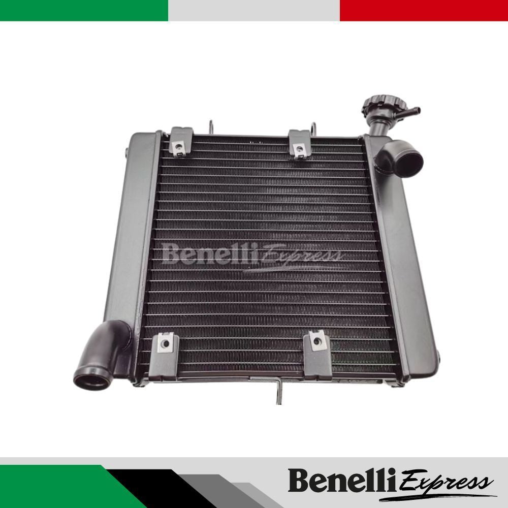 Motorcycle Benelli Leoncino 500 Water Tank Fan Cooling Box Radiator Assembly Motorcycle Spare Parts