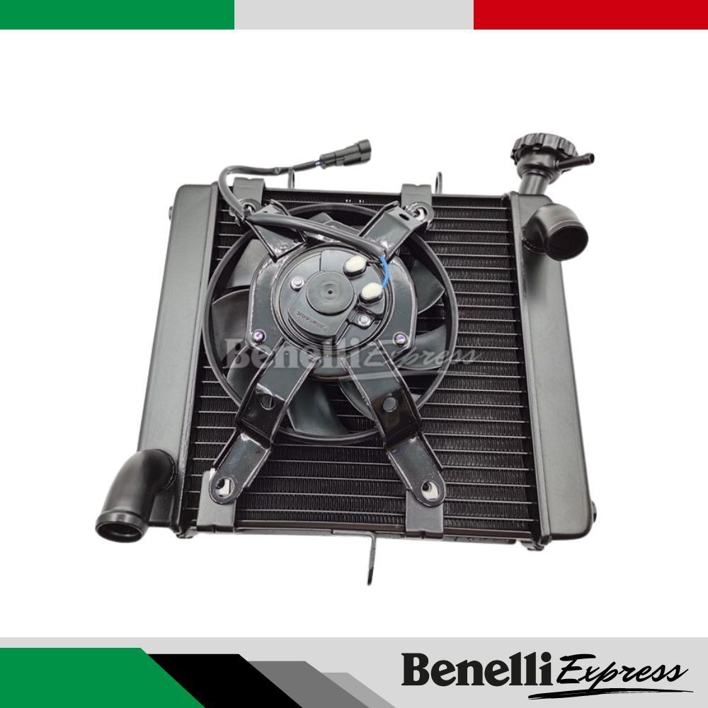 Motorcycle Benelli Leoncino 500 Water Tank Fan Cooling Box Radiator Assembly Motorcycle Spare Parts