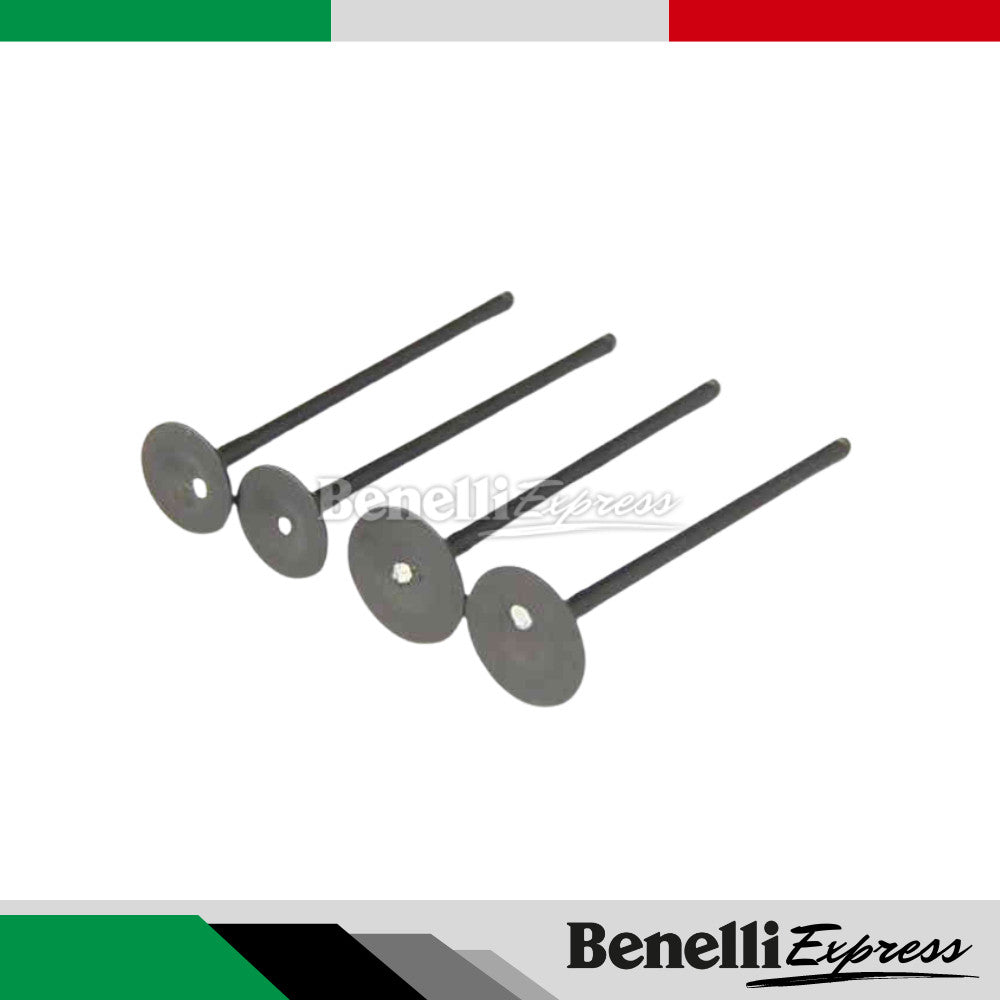 Motorcycle Benelli Leoncino 250 Trk251 Tnt25 Cylinder Block Set Piston Ring Intake and Exhaust Valve Set Conrod