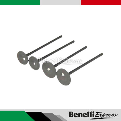 Motorcycle Benelli Leoncino 250 Trk251 Tnt25 Cylinder Block Set Piston Ring Intake and Exhaust Valve Set Conrod