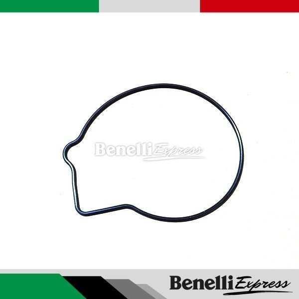 BENELLI Tnt600 Spare Parts 1 Srk600 Fuel Hose Fuel Filter Chain Shield Block Chassis Screw Mudgyard Throttle Body Intake