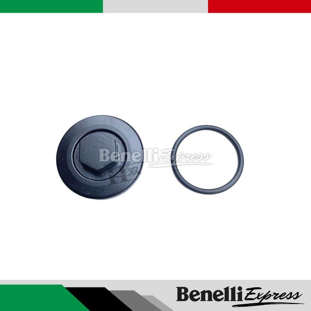 Benelli 150s Spare Parts 1 Oil Filter Chain Pad Footrest Brake Clutch Lever Plug Coil Brake Spring TPS Sensor Fuel