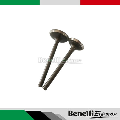 Benelli Tnt135 Spare Parts 1 Brake Pad Tail Cover Rocker Arm Plate Rear Signal Clutch Throttle Cable Stepper Cam Shaft