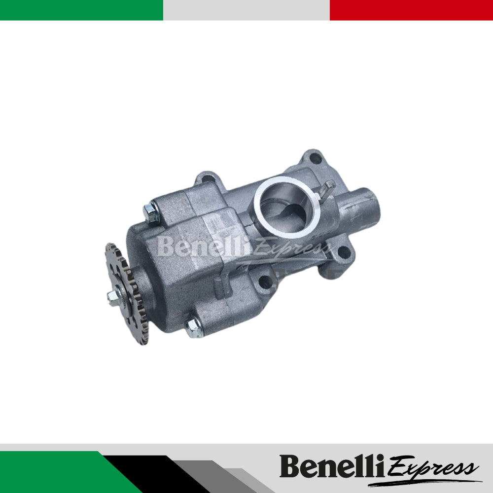 BENELLI Tnt 249s Spare Parts 1 Handle Switch Fuel Tank Cover Pump Clutch Brake Pedal Rear Footrest Brake Lever Cushion