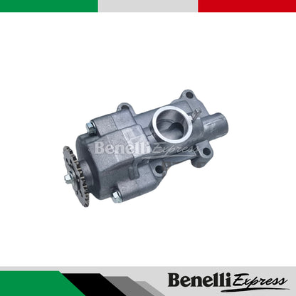 BENELLI Tnt 249s Spare Parts 1 Handle Switch Fuel Tank Cover Pump Clutch Brake Pedal Rear Footrest Brake Lever Cushion