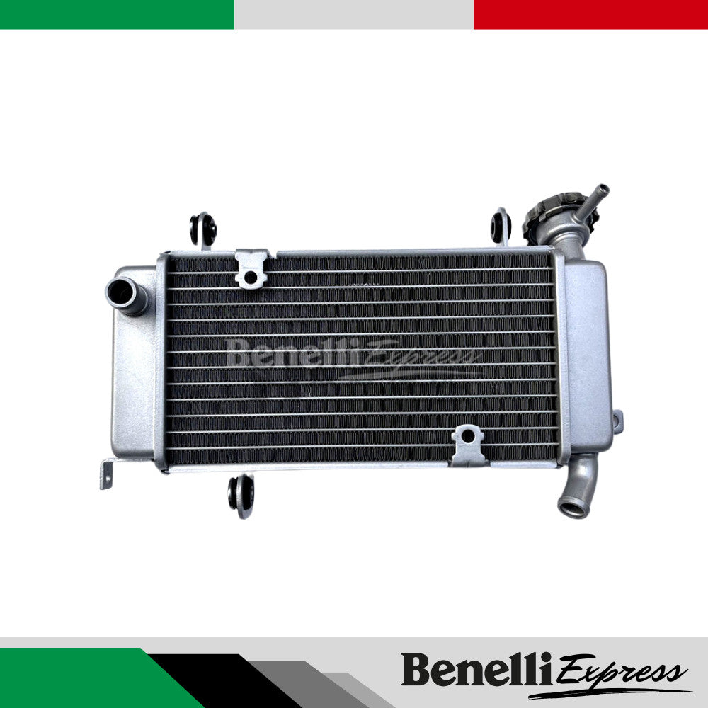 BENELLI 150s Spare parts 3 Radiator Headlight Front Fork Monoshock Rim Crankcase Fuel Tank Engine Block Clutch