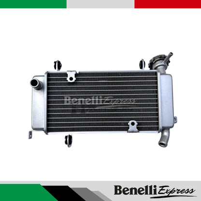 BENELLI 150s Spare parts 3 Radiator Headlight Front Fork Monoshock Rim Crankcase Fuel Tank Engine Block Clutch