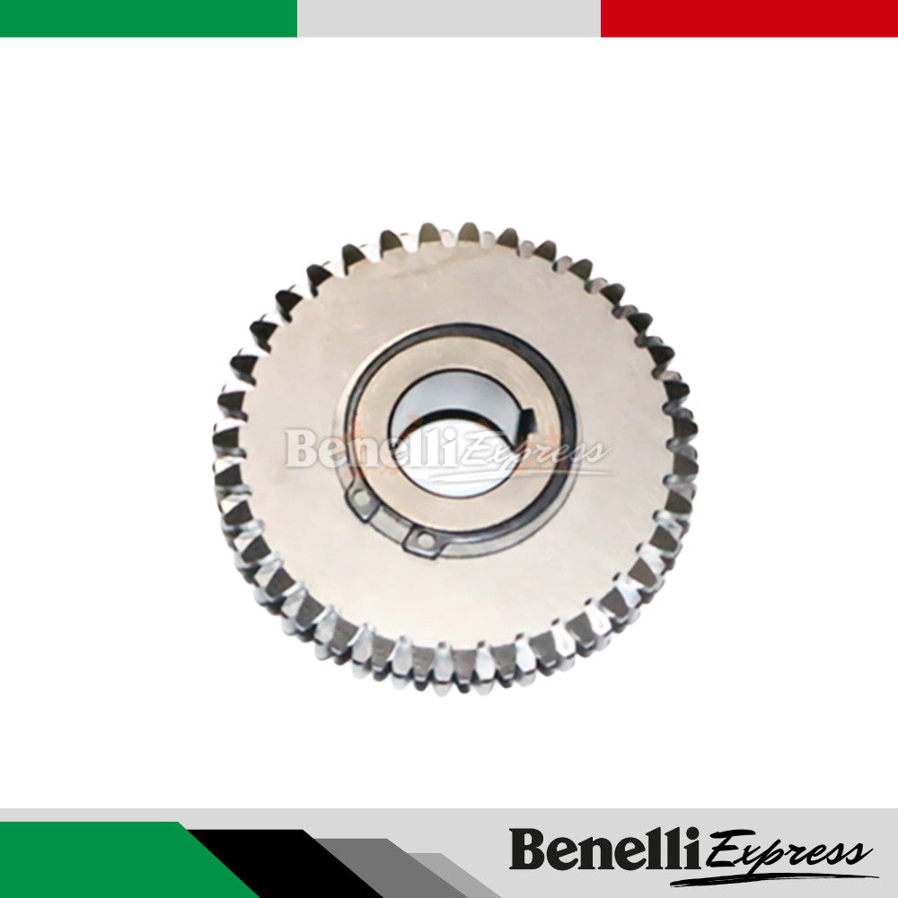 BENELLI TNT600 TRK502 TRK502X Leoncino 500 SRK600 SRK600rc Slippery Clutch Whistle Gear Sonic Engine Sound
