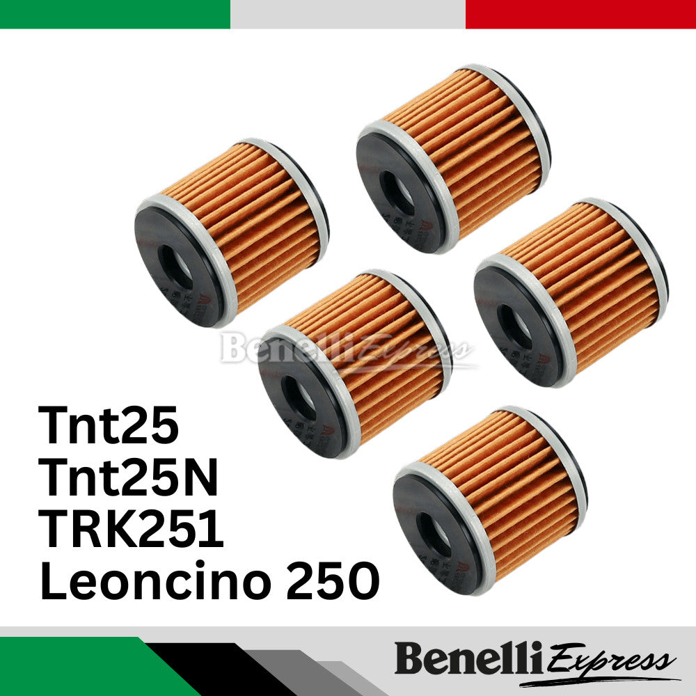 Benelli QJmotor Oil Filter Fuel Air Filter SRK250RD 450RR Tnt25 Trk251 Leoncino 250 TNT600 249s TRK502 SRV250 502c
