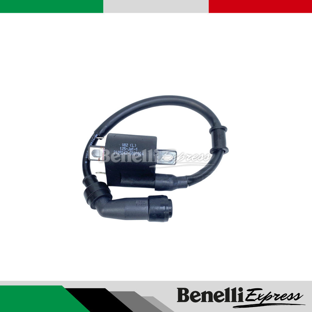 Benelli 150s Spare Parts 1 Oil Filter Chain Pad Footrest Brake Clutch Lever Plug Coil Brake Spring TPS Sensor Fuel