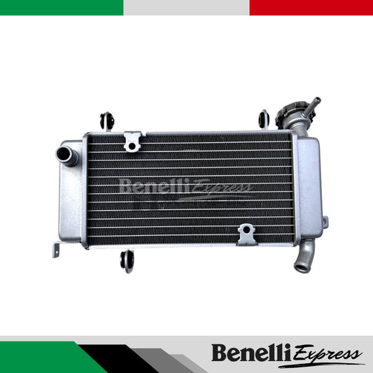 BENELLI 150s Spare parts 3 Radiator Headlight Front Fork Monoshock Rim Crankcase Fuel Tank Engine Block Clutch