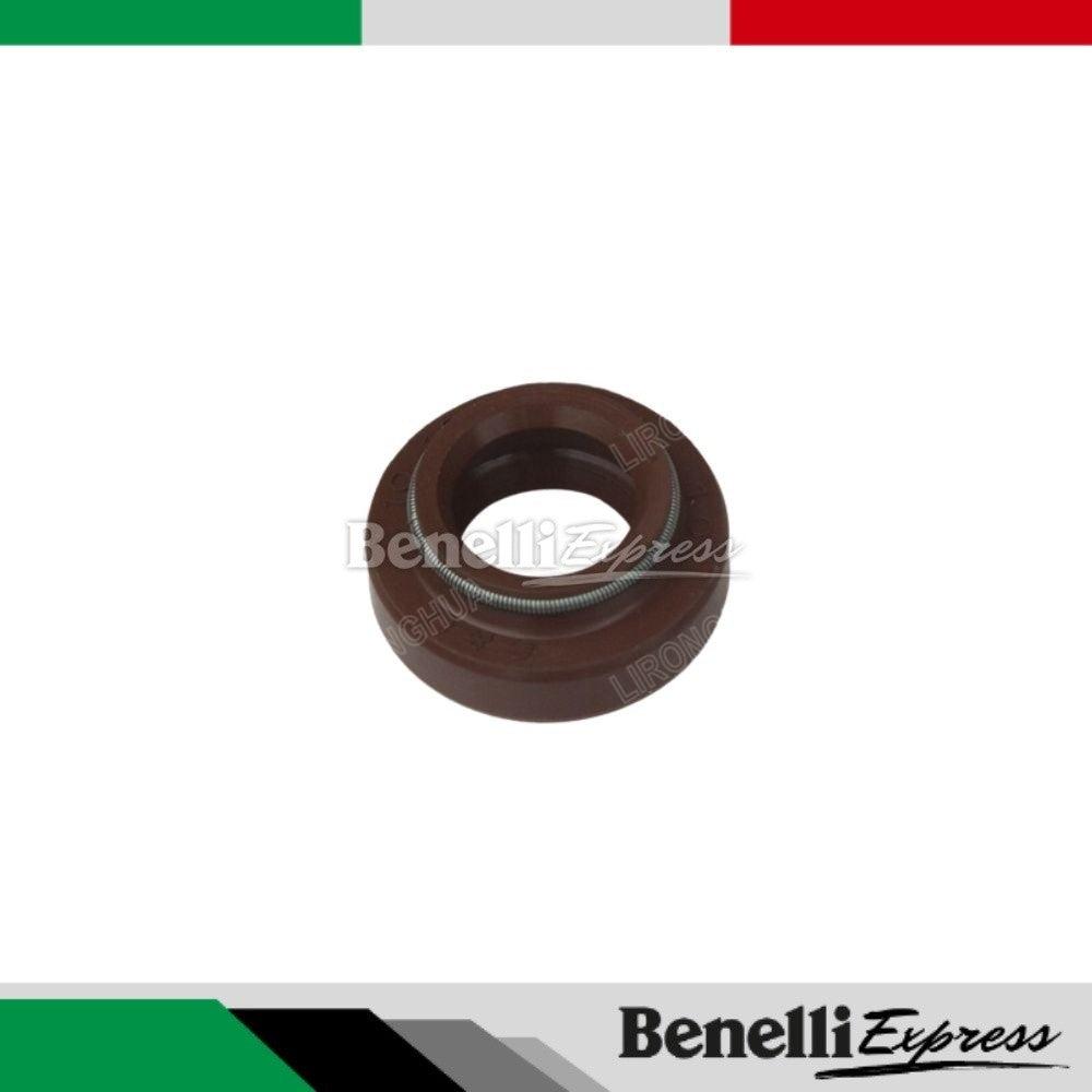 Benelli Tnt25 Spare Parts 1 Speed Sensor Water Pump Sprocket Brake Clutch Lever Muffler Cover Engine Gasket TPS Filter