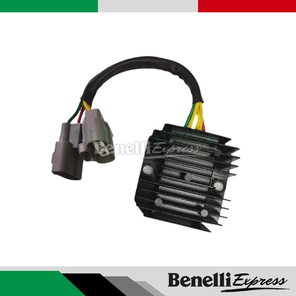 BENELLI Leoncino 250 Spare Part 2 Fuel Pump Clutch Plate Hub Top Box Rack Tail Lamp Cover Mudguard Starter Front Fender