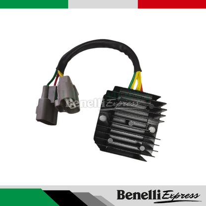 BENELLI Leoncino 250 Spare Part 2 Fuel Pump Clutch Plate Hub Top Box Rack Tail Lamp Cover Mudguard Starter Front Fender