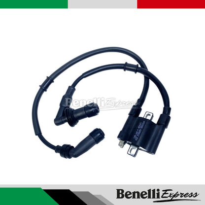 Benelli 150s Spare Parts 1 Oil Filter Chain Pad Footrest Brake Clutch Lever Plug Coil Brake Spring TPS Sensor Fuel