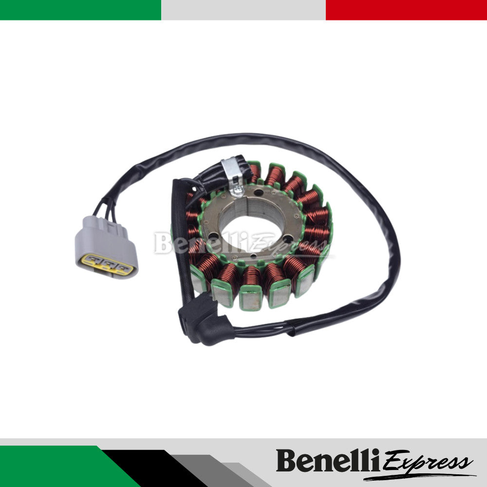 BENELLI Leoncino 500 Spare Parts 1 Chain Shield Block Meter Brake Hose Signal Gasket Fuel Injector Footrest Tank Cover