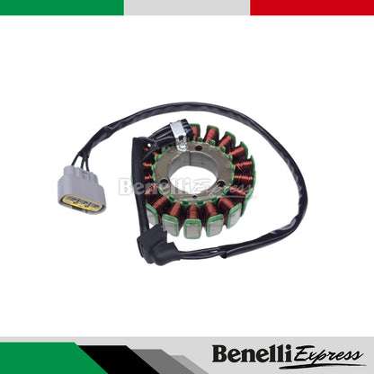 BENELLI Leoncino 500 Spare Parts 1 Chain Shield Block Meter Brake Hose Signal Gasket Fuel Injector Footrest Tank Cover