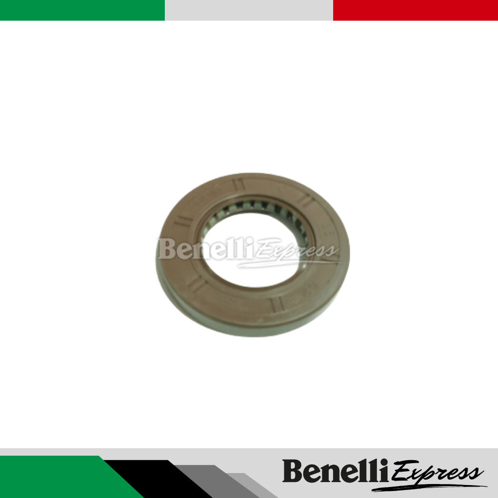 BENELLI Tnt 249s Spare Parts 2 Cyclinder Head Engine Gasket Fender Splash Oil Cap Coolant Tank