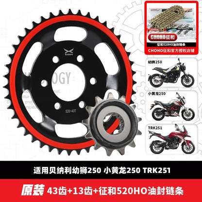 Benelli Tnt600 Srk600 Tnt300 249s SRV250 Tnt25 Tnt135 Trk251 Trk502 752s 502c 150s Leoncino Imepriale Chain Set Sprocket