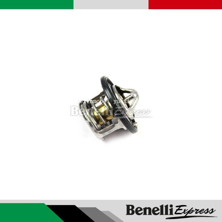 Benelli Tnt600 Srk600 Airbox Engine Radiator Themostat sensor Benelli Air Box Sensor