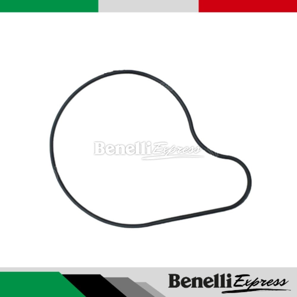 Motorcycle Benelli Tnt25 Water Pump Cover Sealing Ring SRK250 Water Seal Oil Seal