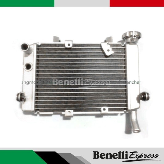 Motorcycle Benelli Tnt25 Radiator Fan Radiator Assembly Motorcycle Spare Parts