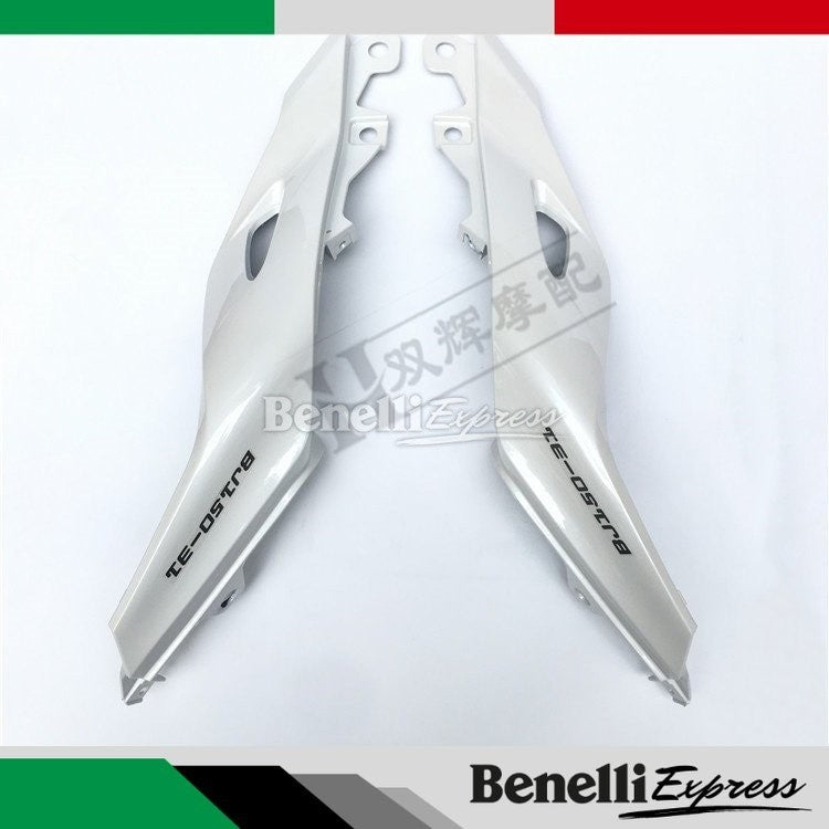 Motorcycle Benelli 150S Rear Tail Cover Panel Motorcycle Spare Parts
