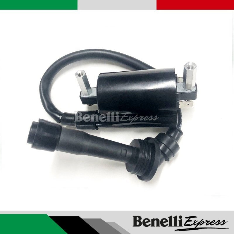 Benelli Tnt25 Ignition Plug Coil Motorcycle Spare Parts