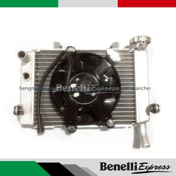 Motorcycle Benelli Tnt25 Radiator Fan Radiator Assembly Motorcycle Spare Parts