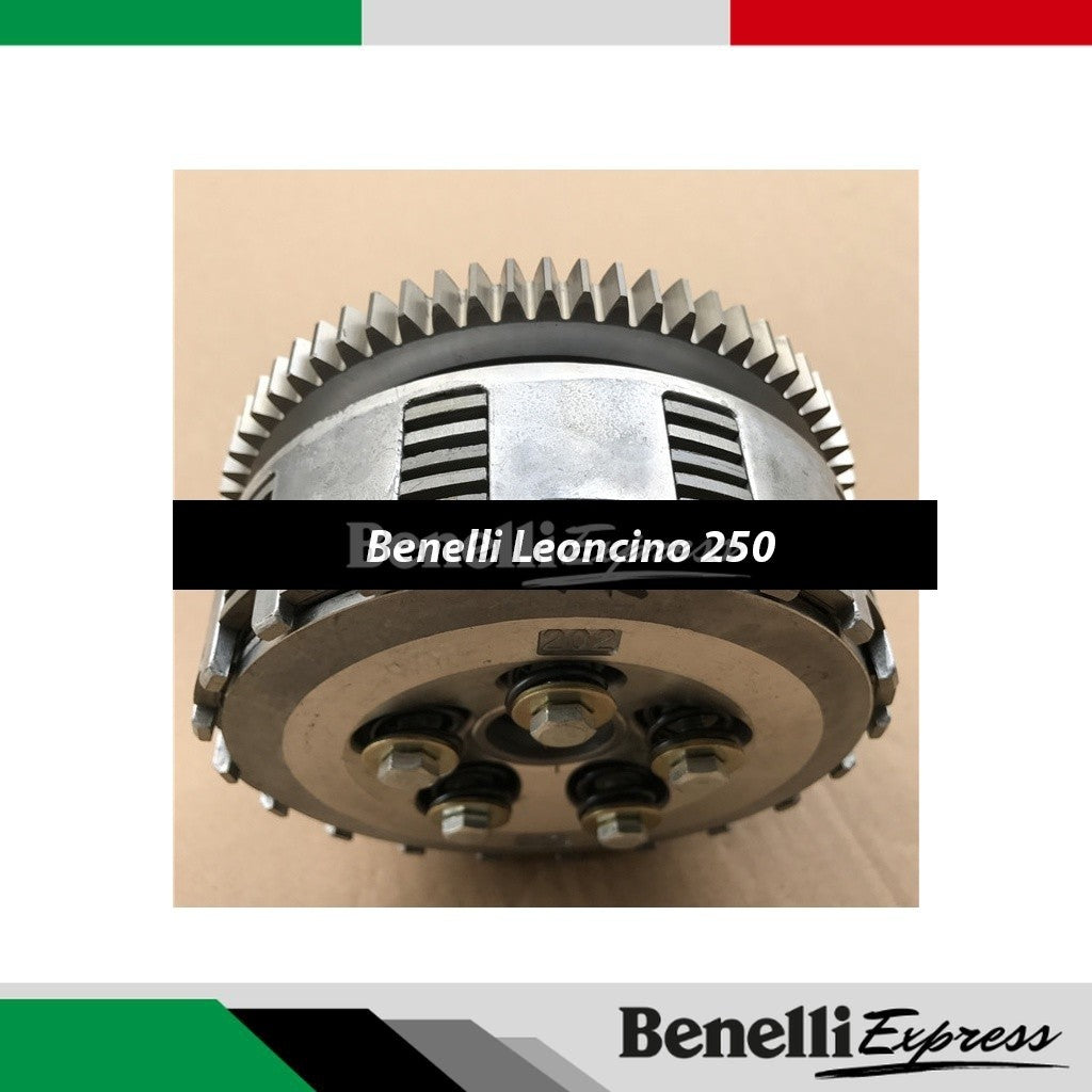 Benelli Leoncino 250 Clutch Plate Hub Assembly Clutch Housing Motorcycle Spare Parts