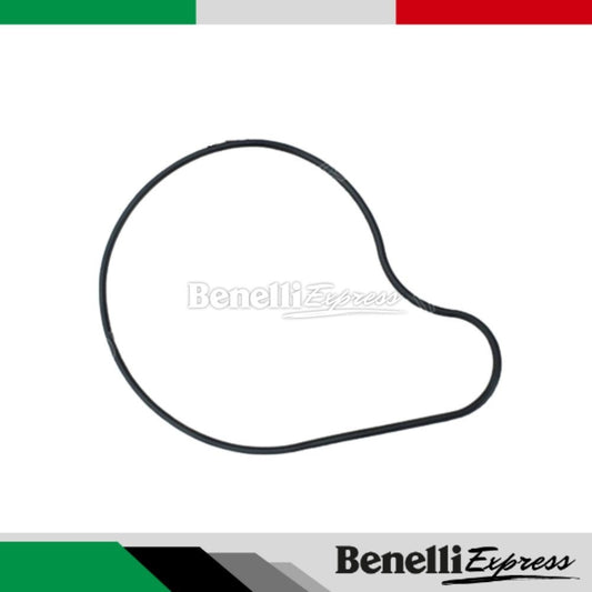 Motorcycle Benelli Tnt25 Water Pump Cover Sealing Ring SRK250 Water Seal Oil Seal