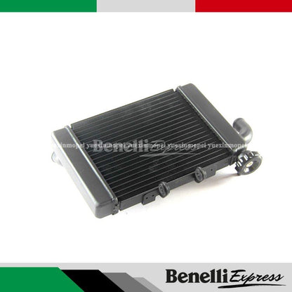 Motorcycle BENELLI TNT300 249s Radiator Motorcycle Spare Parts