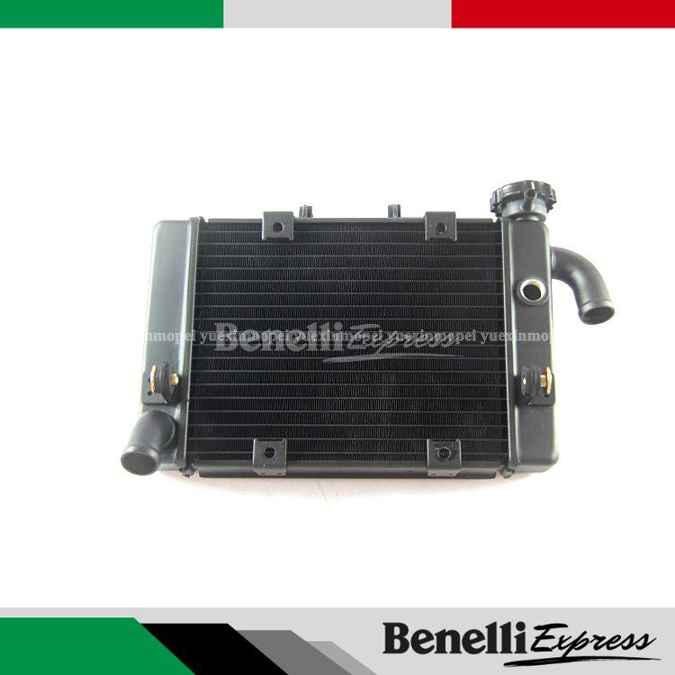 Motorcycle BENELLI TNT300 249s Radiator Motorcycle Spare Parts