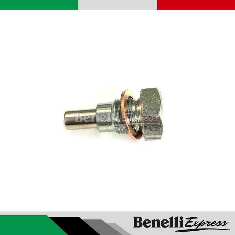 Benelli Tnt600 Srk600 Tnt300 302r 249s Trk502 Trk502x Leoncino 250 500 752s Oil Sump Nut Magnet Screw