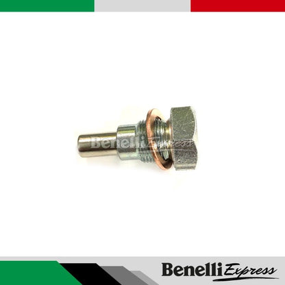 Benelli Tnt600 Srk600 Tnt300 302r 249s Trk502 Trk502x Leoncino 250 500 752s Oil Sump Nut Magnet Screw