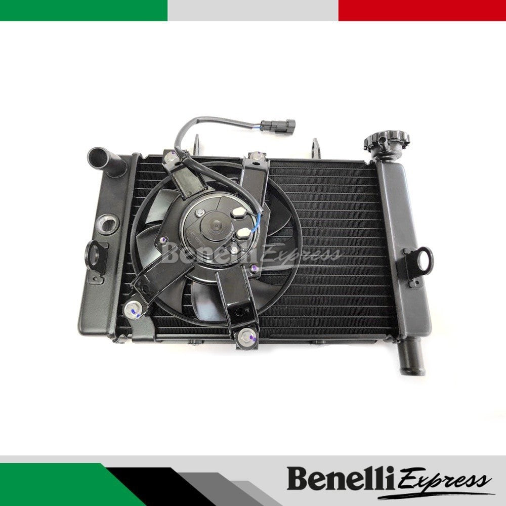Benelli Leoncino 250 Water Tank Fan Cooling Box Radiator Assembly Motorcycle Spare Parts