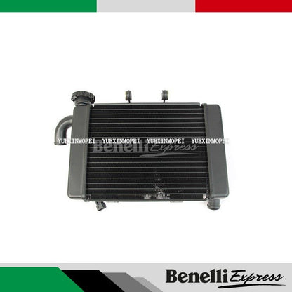 Motorcycle BENELLI TNT300 249s Radiator Motorcycle Spare Parts