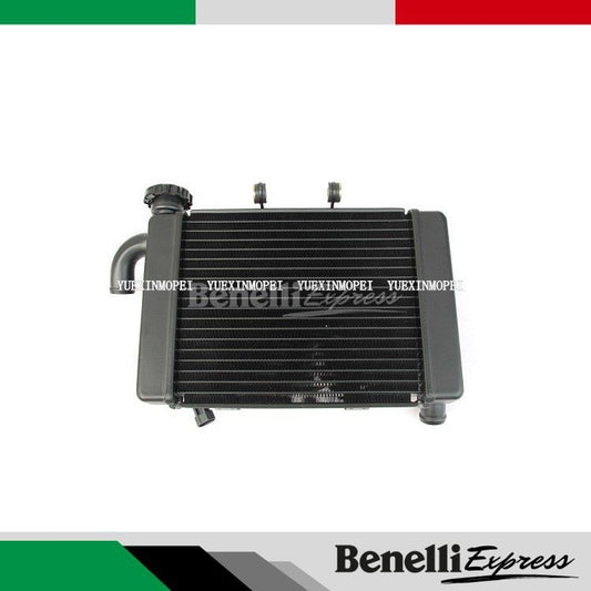 Motorcycle BENELLI TNT300 249s Radiator Motorcycle Spare Parts
