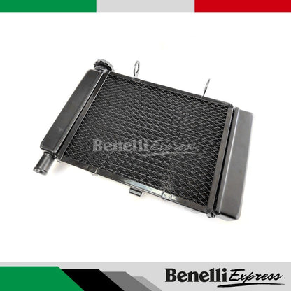 Benelli Leoncino 250 Water Tank Fan Cooling Box Radiator Assembly Motorcycle Spare Parts