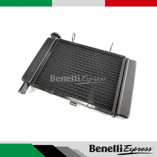 Benelli Leoncino 250 Water Tank Fan Cooling Box Radiator Assembly Motorcycle Spare Parts