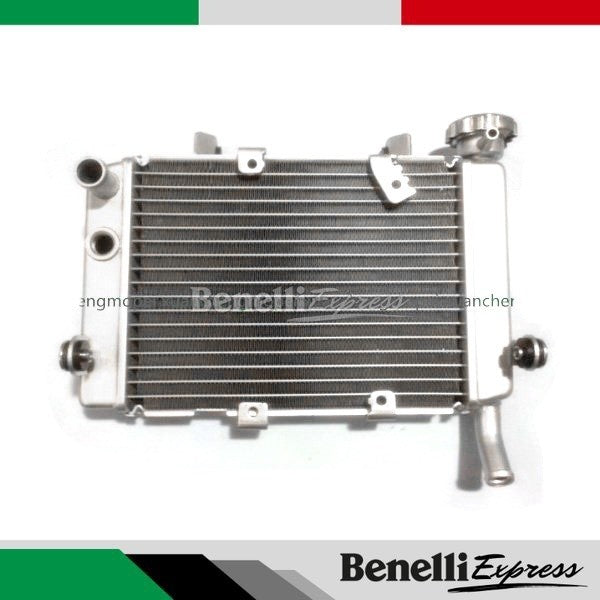 Motorcycle Benelli Tnt25 Radiator Fan Radiator Assembly Motorcycle Spare Parts