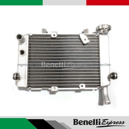 Motorcycle Benelli Tnt25 Radiator Fan Radiator Assembly Motorcycle Spare Parts
