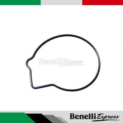 Motorcycle Benelli Tnt600 Srk600 Leoncino 500 Trk502 Water Pump Cover O-ring Gasket