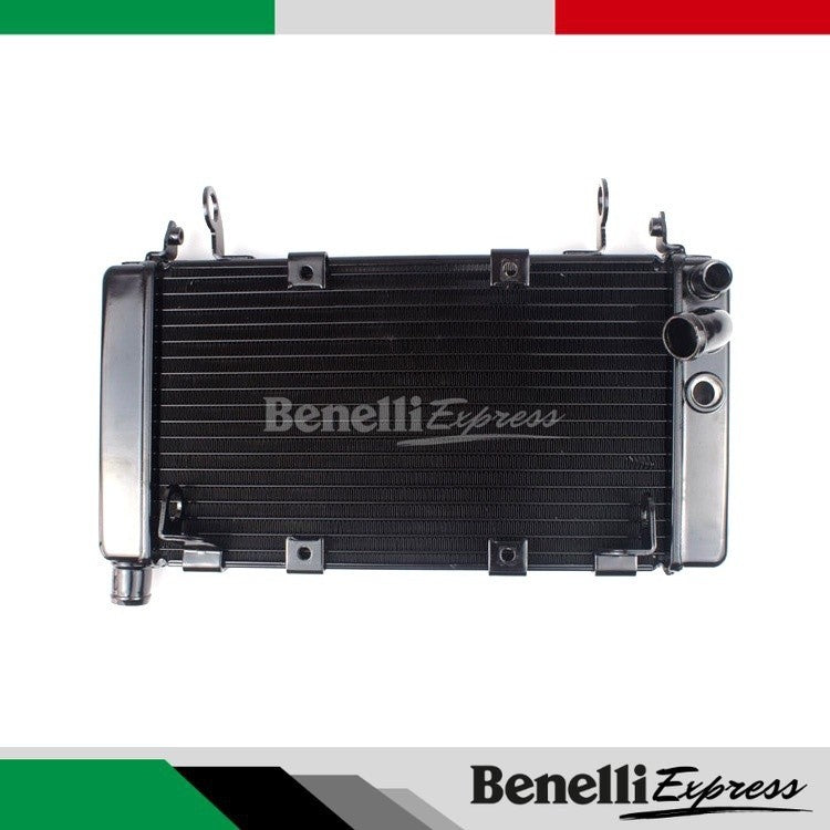 Motorcycle Benelli TNT600 Water Tank Cooler Radiator Motorcycle Spare Parts