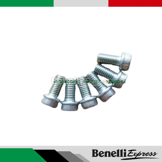 Benelli Tnt600 300 Trk502 752s Front Rear Brake Disk Screw