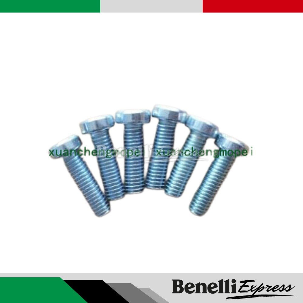 Benelli Tnt600 300 Trk502 752s Front Rear Brake Disk Screw